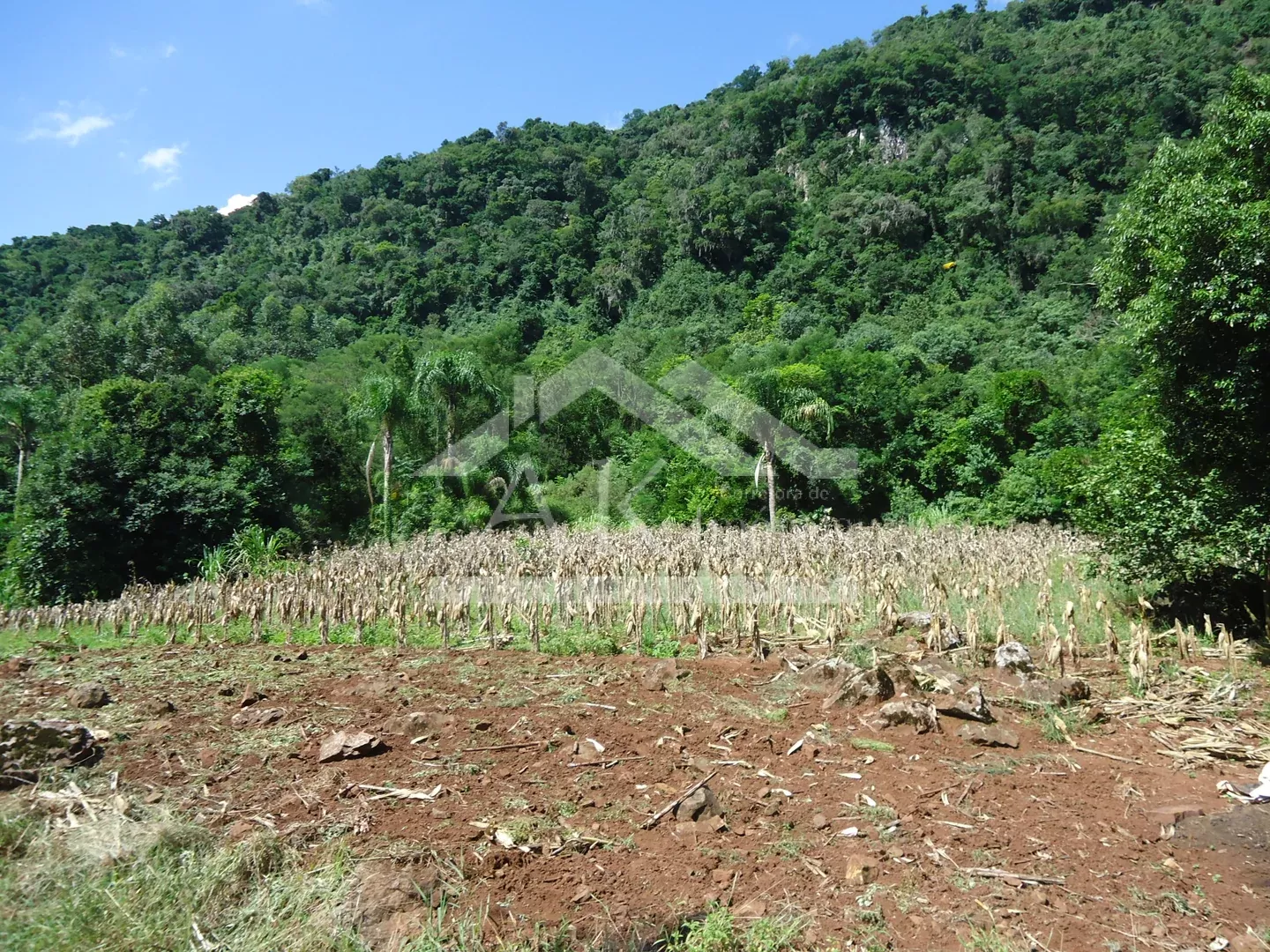 Comprar Área de Terra